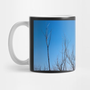 Bare branches Mug